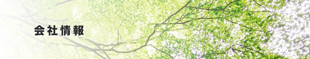 小野田森村マグネシウム株式会社 会社情報